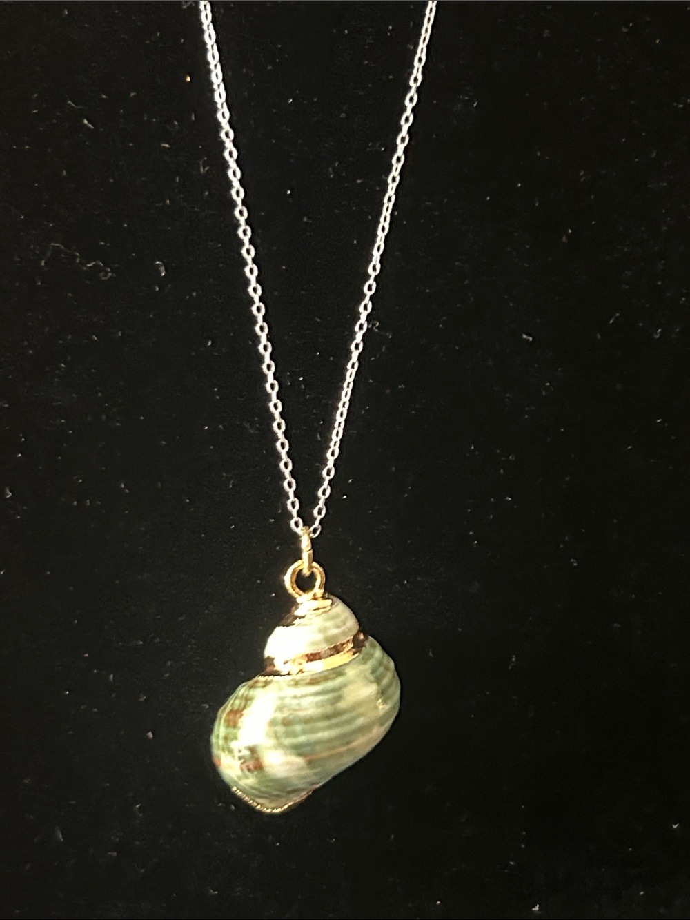 Green Shell Pendant Necklace Charm - Gold Accents
